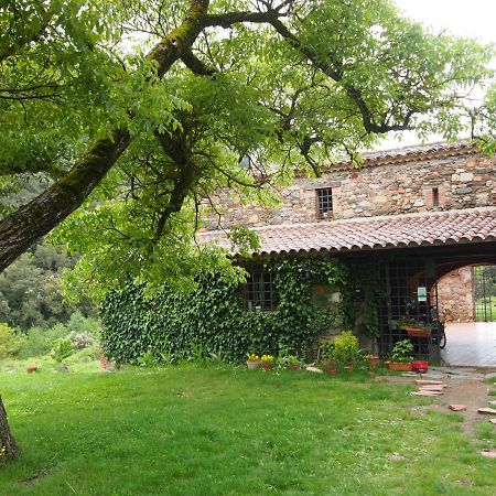 Bed And Breakfast Casanova De Sant Miquel Aiguafreda Eksteriør bilde