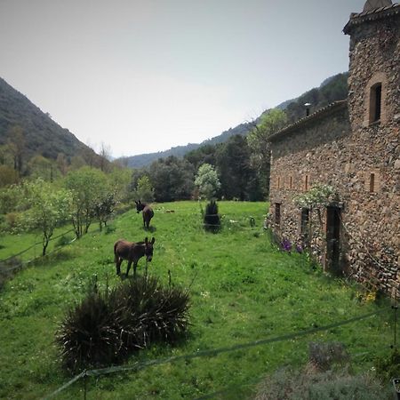 Bed And Breakfast Casanova De Sant Miquel Aiguafreda Eksteriør bilde