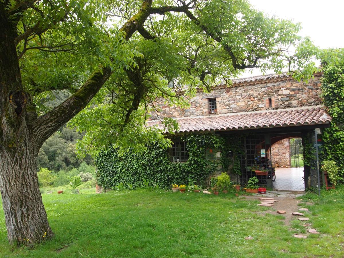 Bed And Breakfast Casanova De Sant Miquel Aiguafreda Eksteriør bilde