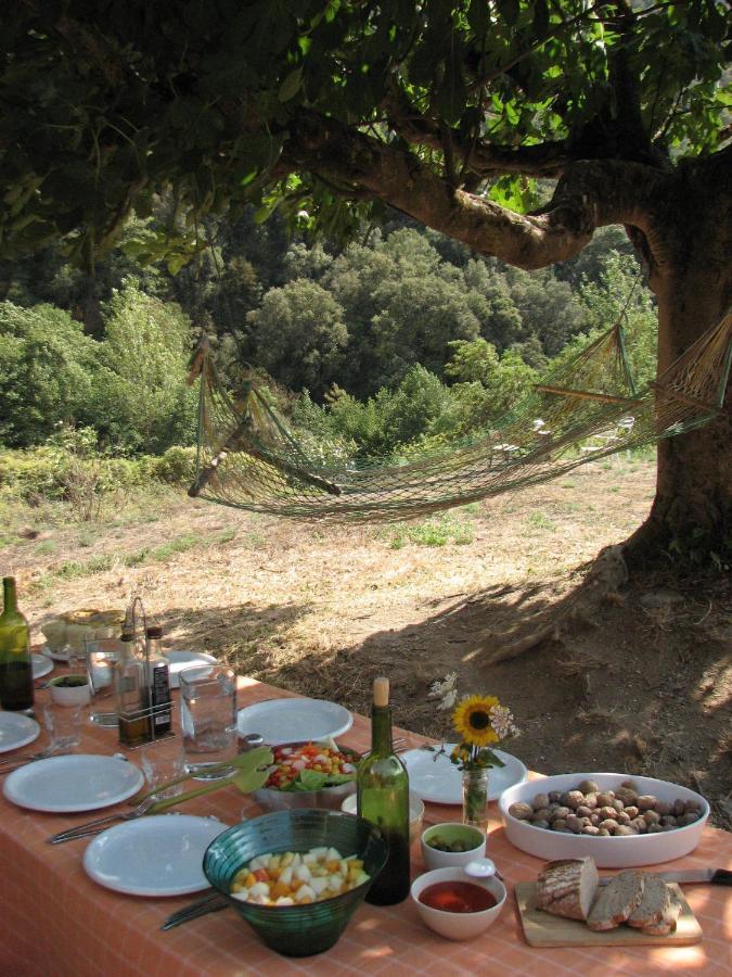 Bed And Breakfast Casanova De Sant Miquel Aiguafreda Eksteriør bilde