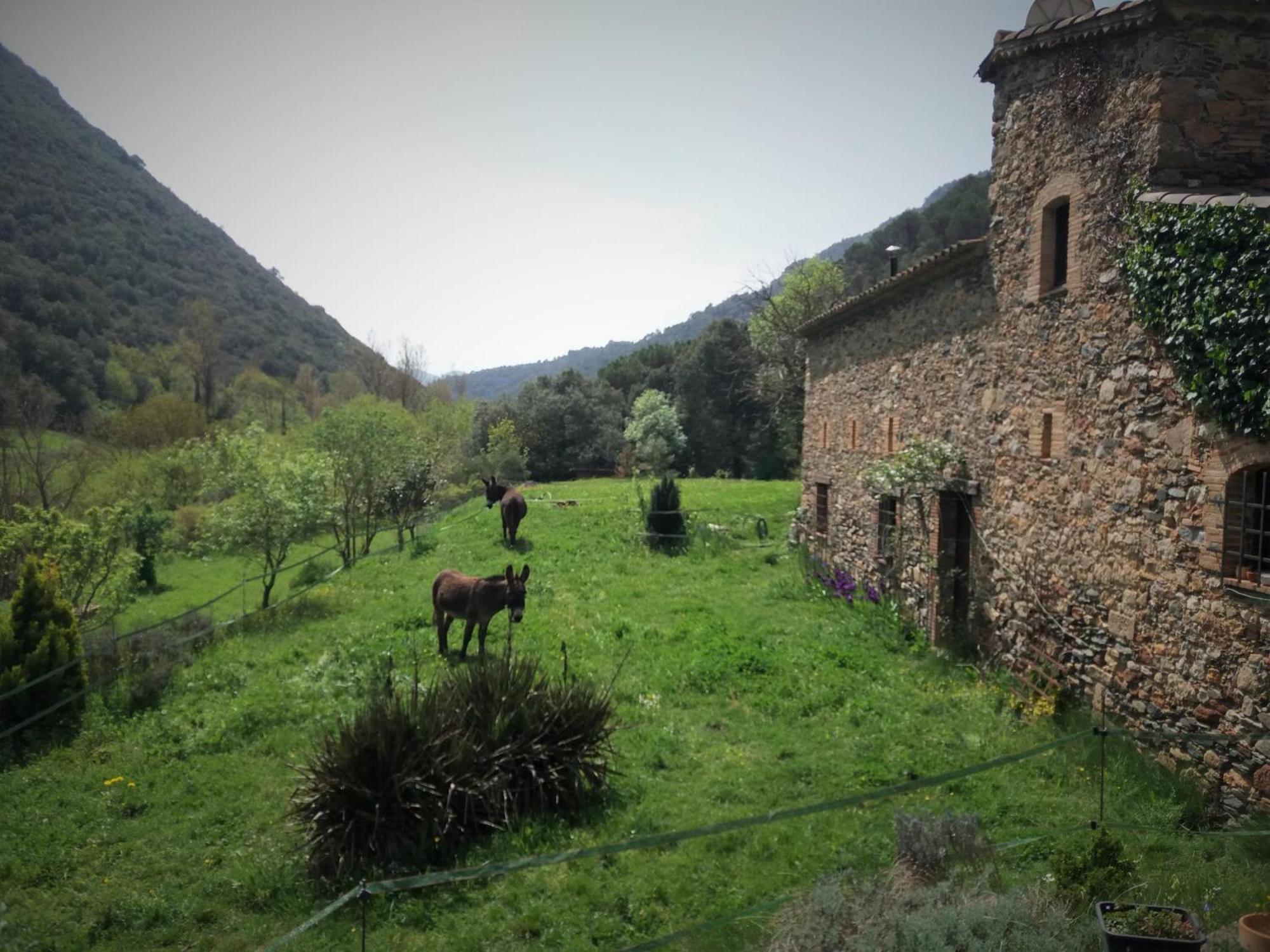 Bed And Breakfast Casanova De Sant Miquel Aiguafreda Eksteriør bilde