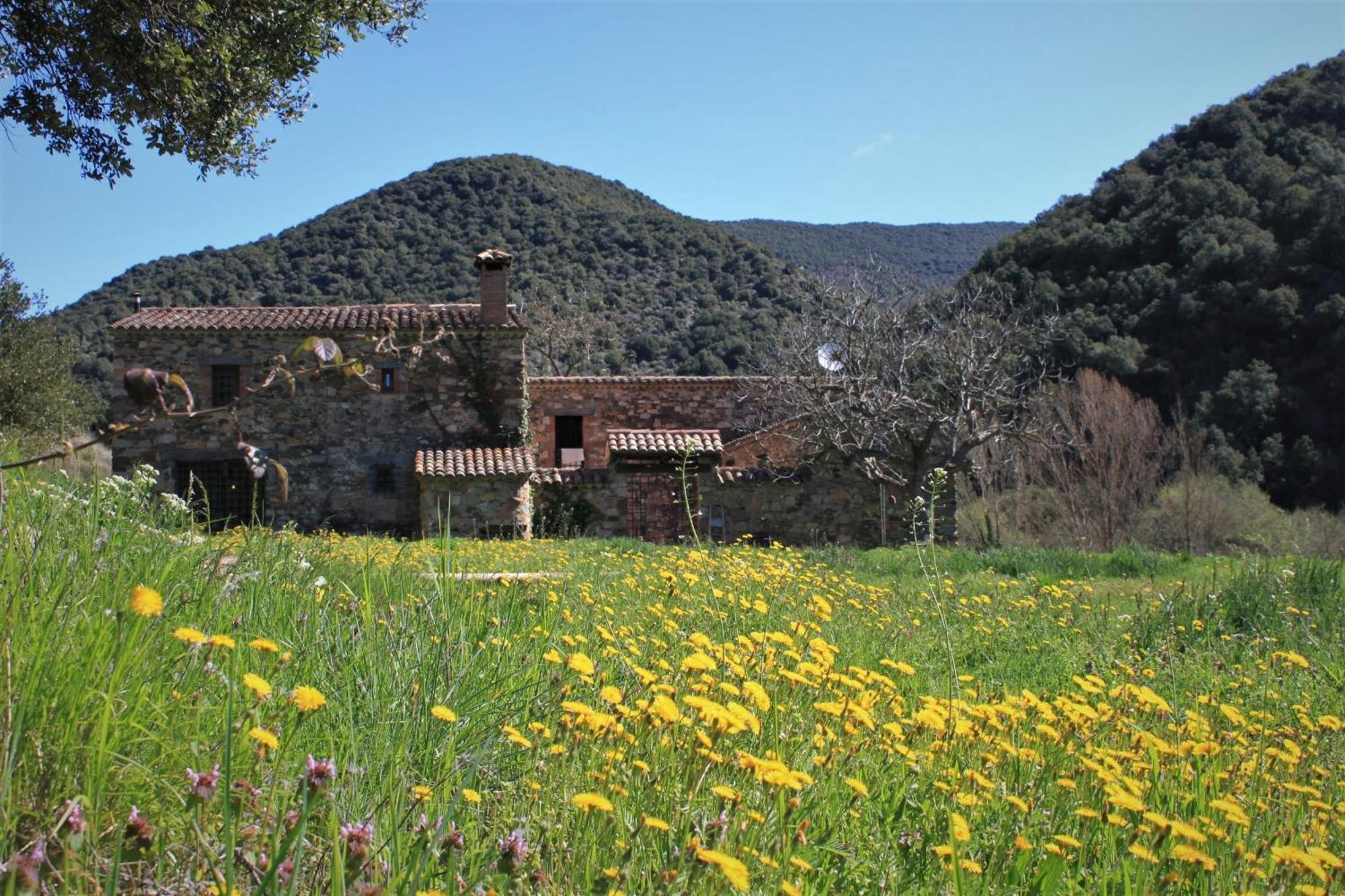 Bed And Breakfast Casanova De Sant Miquel Aiguafreda Eksteriør bilde